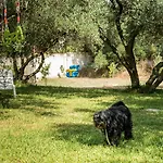 Διαμέρισμα Koxyli & *