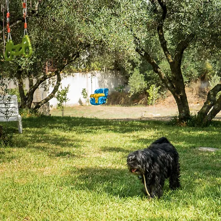 Appartamento Koxyli & *