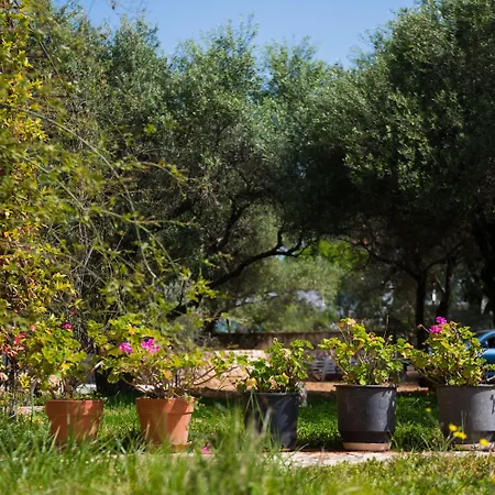 Appartamento Koxyli &