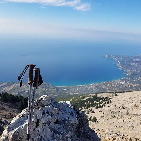 Koxyli & アパート