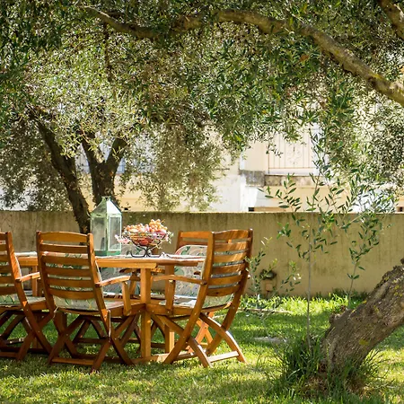 Koxyli & * Kaligáta