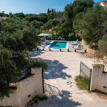 Koxyli & * Kaligáta