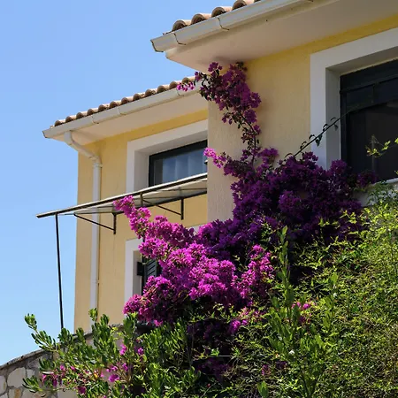 Koxyli & * Kaligata