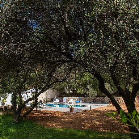 Koxyli & アパート Kaligata