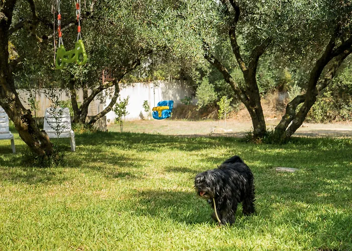 Апартаменты Koxyli & *