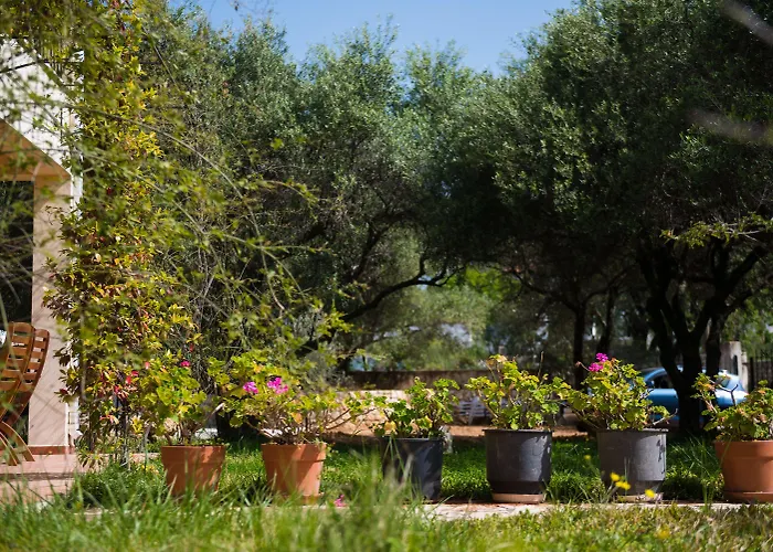 Апартаменты Koxyli &